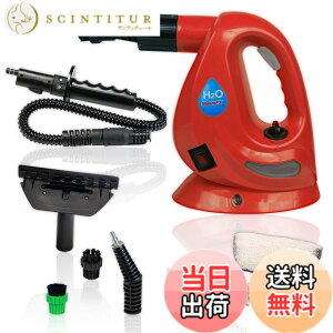 �y���������z�y���K�i�zH2O�X�`�[��FX 8�_�f���b�N�X�Z�b�g �F�F���b�h