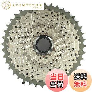 �y���������zSHIMANO(�V�}�m) CS-M8000 11S 11-46T ICSM8000146 �F�F�u���b�N�E�N���[���A�T�C�Y�F�����T�C�Y