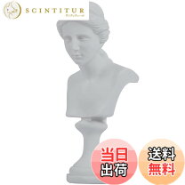 楽天市場】ミロのヴィーナス 石膏像の通販