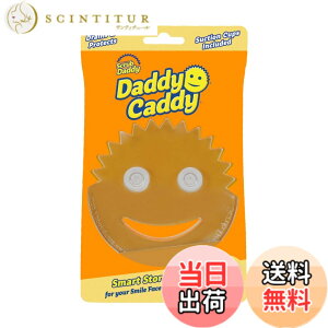 �y���������zScrub Daddy Daddy Daddy �L���f�B�X�|���W�z���_�[ �L�b�`���V���N�p �F�F�N���A�A�T�C�Y�F1 Count (Pack of 1)