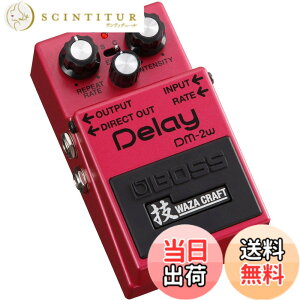 �y���������zBOSS/DM-2W Analog Delay �Z Waza Craft �{�X �F�F��,��