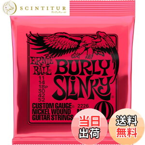 �y���������z�y���K�i�z ERNIE BALL �G���L�M�^�[�� SLINKY �F�F�o�[���[(11-52)�A�T�C�Y�F11-52