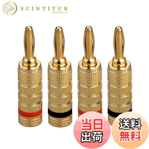 �y���������zEIGHTNOO 4�� �o�i�i�v���O �X�s�[�J�[�P�[�u�� �X�s�[�J�[���C���[ �ǃv���[�g�p 24K�����b�L �˂����ݎ� �\���_�[���X �����^���V�F�� �T�C�Y�F4�{�Z�b�g / 2�y�A