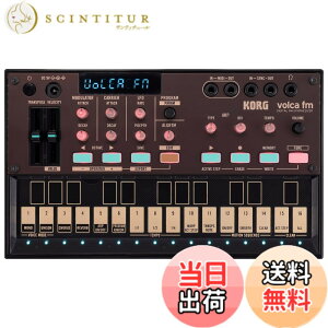 �y���������zKORG(�R���O) FM�V���Z�T�C�U�[ 6�{�C�X �R�[���X ���o�[�u �d�r�쓮 �X�s�[�J�[���� �w�b�h�z���g�p�� �ǂ��ł��g����R���p�N�g�T�C�Y volca fm2 �F�F�u���b�N