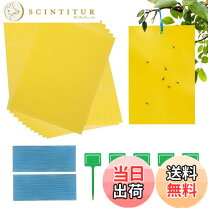 楽天市場】ハチ 粘着シートの通販