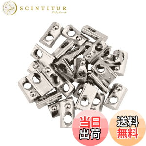 �y���������z30�� T�X�v�����O�i�b�g �X���b�g 20���[���b�p�W�� ���[���A���~�j�E��, ���~ �Y�f�|�� �V���o�[(M3) �F�F2020�A�T�C�Y�FM5