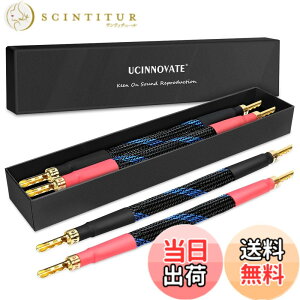 �y���������zUCINNOVATE�X�s�[�J�[�W�����p�P�[�u���i�o�i�i�v���O�t�j�A�o�C���C���[�X�s�[�J�P�[�u���u���b�W�A11AWG HiFi OFC�X�s�[�J�[�W�����p�P�[�u�� �F�FBlack�A�T�C�Y�F4x Z�v���O�W����