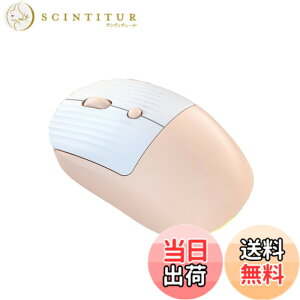 �y���������zDIGIBLUSKY ���� USB���C�����X�}�E�X �L�����N�^�[ �����}�E�X �q���p/�q������/�����p �d�r���}�E�X �E��p �É� 2.4GHz �����^�ѕ֗� Mac/Windows/Surface/Microsoft Pro�ɑΉ� �F�F�s���N