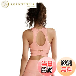 �y���������z[Yomoment] �o�b�N�X�^�C�� �u���g�b�v �J�b�v�t�� �X�|�[�c�u�� �n�C�T�|�[�g�u���g�b�v �z������ �F�FGrapefruit�A�T�C�Y�FXL
