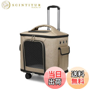 �y���������zCHINSUKIDA �L �L�����[ �L���X�^�[�t�� ���^�� �L�����[�J�[�g 2way �y�b�g�L�����[�o�b�O ���p�\�t�g�N���[�g �܂肽���݉� �}�b�g�t�� �U�� �ʉ@�p �F�F�x�[�W���A�T�C�Y�F���^ 