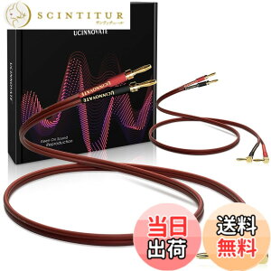 �y���������zUCINNOVATE�o�i�i�v���O�t��2�p�b�N14 AWG���X�s�[�J�[���C���A�����b�L���p�o�i�i�v���O�t��2X 2m HiFi OFC�X�s�[�J�[�P�[�u���A�I�[�f�B�I�}�j�A�T�E���h�A���v�p�I�[�f�B�I�P�[�u
