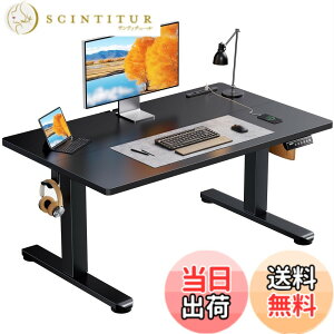 �y���������zErGear �d�� ���~���f�X�N ���[�^�C�v �F�F�u���b�N�A�T�C�Y�F100*60cm