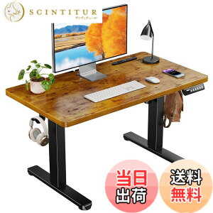 �y���������zErGear �d�� ���~���f�X�N ���[�^�C�v �F�F�r���e�[�W�A�T�C�Y�F90*50cm