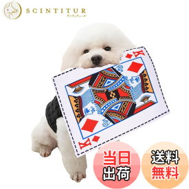 【送料無料】YBGGJO 犬専用新聞おもちゃ 犬 おもちゃ 噛むおもちゃ 知育おもちゃ 音が鳴る 清潔 歯磨き 噛み耐性 水洗いOK ストレス解消 色：C、サイズ：25*18CM