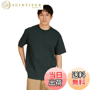 �y���������zHanes �r�[�t�B�[ T�V���c�r�[�t�B�[ T�V���c BEEFY-T 1���g ��100% �������n �w�r�[�E�F�C�gT H5180�����Y �F�F�_�[�N�O���[���A�T�C�Y�FM