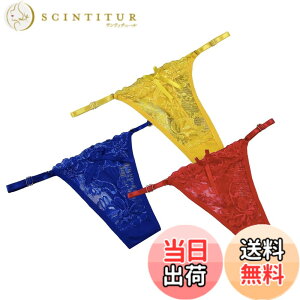 �y���������zBUZZxSELECTION(�o�Y �Z���N�V����) T�o�b�N ���� 2�� �܂Ƃ� �Z�b�g �Z�N�V�[ �����W�F���[ ���f�B�[�X TVS02MC01 �F�F3���Z�b�gD�A�T�C�Y�FFree Size