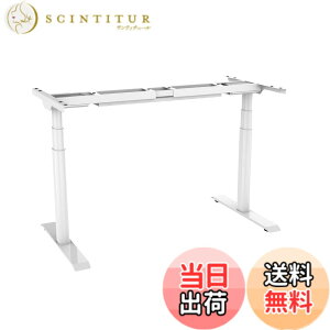 �y���������zFLEXISPOT �X�^���f�B���O�f�X�N ���[�J�[5�N �d�������~�f�X�N E8 �������� �l�ԍH�w �Q�[�~���O�f�X�N �p�\�R���f�X�N �F�F�z���C�g�A�T�C�Y�F��^