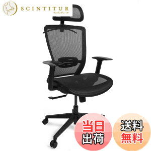 �y���������zFLEXISPOT �I�t�B�X�`�F�A �f�X�N�`�F�A OC3 ���@�\���� ���b�L���O�@�\ 3�i�K�Œ� 2D�w�b�h���X�g�t�� �A�[�����X�g�t�� �����o�[�T�|�[�g�t�� ���b�V�� �E���^���t�H�[�� �R�[�g