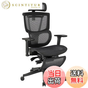 �y���������zFLEXISPOT �I�t�B�X�`�F�A �f�X�N�`�F�A C7 �l�ԍH�w �G���S�m�~�N�X�`�F�A ���b�V���`�F�A �Ɨ��^�����o�[�T�|�[�g ���N���C�j���O�\ �V���N�����b�L���O ���i�K�Œ� �O�X�`��