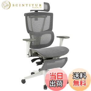 �y���������zFLEXISPOT �I�t�B�X�`�F�A �f�X�N�`�F�A C7 �l�ԍH�w �G���S�m�~�N�X�`�F�A ���b�V���`�F�A �Ɨ��^�����o�[�T�|�[�g ���N���C�j���O�\ �V���N�����b�L���O ���i�K�Œ� �O�X�`��