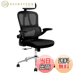 �y���������zFLEXISPOT �I�t�B�X�`�F�A �f�X�N�`�F�A OC6 �l�ԍH�w ���b�V���`�F�A �Ɨ��^�����o�[�T�|�[�g ���b�L���O���� ���яグ���A�[�����X�g 2D�w�b�h���X�g �ݑ�Ζ� ��c�� �I�t�B�X