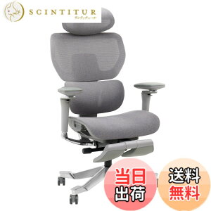 �y���������zFLEXISPOT �I�t�B�X�`�F�A �f�X�N�`�F�A C7 �l�ԍH�w �G���S�m�~�N�X�`�F�A ���b�V���`�F�A �X���C�h�o�b�N�@�\ �O�X�p���ɑΉ� �w������̍������� ��C�������o�[�T�|�[�g �S��