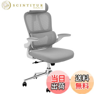 �y���������zFLEXISPOT �I�t�B�X�`�F�A �f�X�N�`�F�A OC6 �l�ԍH�w ���b�V���`�F�A �Ɨ��^�����o�[�T�|�[�g ���b�L���O���� ���яグ���A�[�����X�g 2D�w�b�h���X�g �ݑ�Ζ� ��c�� �I�t�B�X