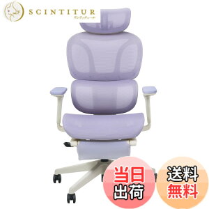 �y���������zFLEXISPOT �I�t�B�X�`�F�A �f�X�N�`�F�A C7 �l�ԍH�w �G���S�m�~�N�X�`�F�A ���b�V���`�F�A �Ɨ��^�����o�[�T�|�[�g ���N���C�j���O�\ �V���N�����b�L���O ���ʉ��s�����\ 2D