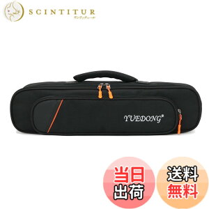 �y���������zMoonEmbassy �f�W�^���Ǌy��\�t�g�P�[�X,Roland AE-01 �G�A���t�H����p�o�b�O,�V�����_�[�X�g���b�v