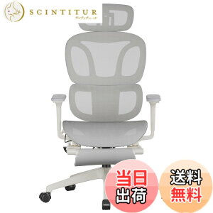 �y���������zFLEXISPOT �I�t�B�X�`�F�A �f�X�N�`�F�A C7 �l�ԍH�w �G���S�m�~�N�X�`�F�A ���b�V���`�F�A �Ɨ��^�����o�[�T�|�[�g ���N���C�j���O�\ �V���N�����b�L���O ���ʉ��s�����\ 2D