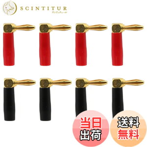 �y���������zKKLM �o�i�i�v���O L���^�o�i�i�v���O 8�{�Z�b�g 24K�����b�L �X�s�[�J�[�P�[�u���p���p�I�[�f�B�I�W���b�N�R�l�N�^�[ 4�y�A �F�F�F�̎Q�l�摜