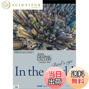 �y���������zANA�u�O���t�B�b�N�M�������[ Bird�fs eye In the World�v 2026�N �J�����_�[ �Ǌ|�� CL26-1145