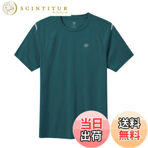 �y���������z[MoFiz] T�V���c �����Y ���� �傫���T�C�Y ���g���[�j���O�E�F�A �g���[�i�[ �ێ� UV�J�b�g �z������ �F�F�O���[���A�T�C�Y�F7L