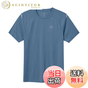 �y���������z[MoFiz] T�V���c �����Y ���� �傫���T�C�Y ���g���[�j���O�E�F�A �g���[�i�[ �ێ� UV�J�b�g �z������ �F�F�O���[�u���[�A�T�C�Y�F6L
