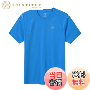 �y���������z[MoFiz] T�V���c �����Y ���� �傫���T�C�Y ���g���[�j���O�E�F�A �g���[�i�[ �ێ� UV�J�b�g �z������ �F�F���C�N�u���[�A�T�C�Y�F7L