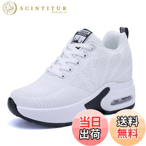 �y���������z[ziitop] ����X�j�[�J�[ ���f�B�[�X �C���q�[���X�j�[�J�[ �V�[�N���b�g�V���[�Y ���r �^���C �E�H�[�L���O�V���[�Y �J�W���A���V���[�Y �y�� 4CM/6CM/7CM/8CM �g���A�b�v �F�F�z��