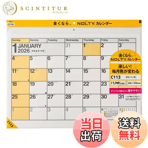 �y���������z�\�� NOLTY 2026�N �J�����_�[ �Ǌ|�� �^���U�b�N�^�C�v �F�FC113�A�T�C�Y�FA2