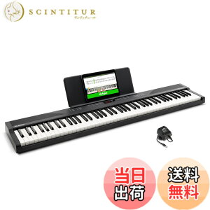 �y���������zAlesis �d�q�s�A�m 88���� Recital Play & Recital Black �F�F�P�i�A�u���b�N�A�T�C�Y�F�P�i
