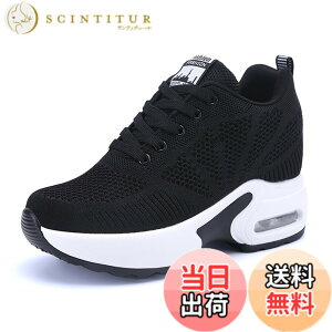 �y���������z[ziitop] ����X�j�[�J�[ ���f�B�[�X �C���q�[���X�j�[�J�[ �V�[�N���b�g�V���[�Y ���r �^���C �E�H�[�L���O�V���[�Y �J�W���A���V���[�Y �y�� 4CM/6CM/7CM/8CM �g���A�b�v �F�F�u��