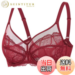 �y���������z[DOBREVA] �u���W���[ �傫���T�C�Y ���f�B�[�X ���[�X �V�[�X���[ �Z�N�V�[ ���C���[���� �p�b�h�Ȃ� ������������ �F�F�`���C�j�[�Y���b�h�A�T�C�Y�FG70