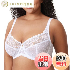 �y���������z[DELIMIRA] �u���W���[ �傫���T�C�Y �ԕ� ���[�X �O���}�[�o�X�g ���C���[���� �p�b�h�Ȃ� �Z�N�V�[ ���[�X�u�� ����������������u�� �F�F�z���C�g�A�T�C�Y�FG100