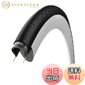�y���������z�r�b�g���A(Vittoria) �e���[�m�[�� G2.0[Terreno Zero G2.0] �F�F�u���b�N/�O���[�A�T�C�Y�F700x32c(32-622)