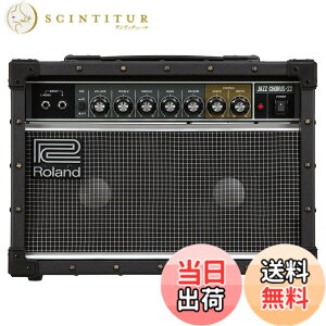 �y���������zRoland/JC-22 ���[�����h �M�^�[�A���v �W���Y�R�[���X 30W