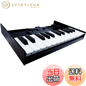 �y���������z���[�����h Keyboard Unit K-25M Roland Roland Boutique�V���[�Y��p �L�[�{�[�h �F�F�u���b�N
