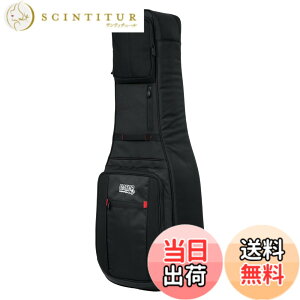 �y���������zGATOR �Q�[�^�[ �M�O�o�b�O Pro-Go Series ���C���J�o�[�t�� G-PG �y�������K�i�z �F�F�u���b�N�A�T�C�Y�FG-PG-GTR