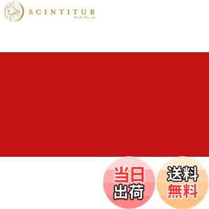 �y���������z�^�[�i�[�F�� �A�N�����K�b�V�� ���b�h�n �F�F�p�[�}�l���g���b�h�A�T�C�Y�FSingle 40 ml Tube