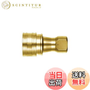 �y���������z�����H��(Nitto Kohki) SP-V�J�v��TypeA 2S-V-A BRASS FKM �F�F�S�[���h�A�T�C�Y�FR1/4