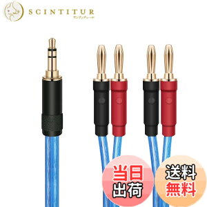 �y���������zluxferre banana 3.5 mm �ϊ� �X�s�[�J�[ �P�[�u�� banana plug �P�[�u�� 3.5mm banana �ϊ� �I�[�f�B�I �P�[�u�� �X�s�[�J�[ banana �}�C�N �A���v banana plug �ɑΉ� banana �~�j�W���b�N ���� �R�[