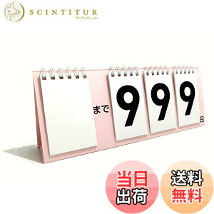 �y���������z�J�E���g�_�E���J�����_�[ 999�� ��� �������ݎ� �F�I���\ W240xH90mm 1�� �F�F�������O�@�T�N���A�T�C�Y�F��240mm x ����90mm