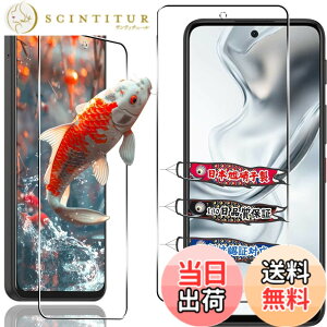 �y���������z�Ή� �t�� �ی�t�B������ �ی�t�B���� �t�B���� �����K���X �K���X�t�B�� �F�F�N���A�A�T�C�Y�F�Ή� ZTE nubia S2